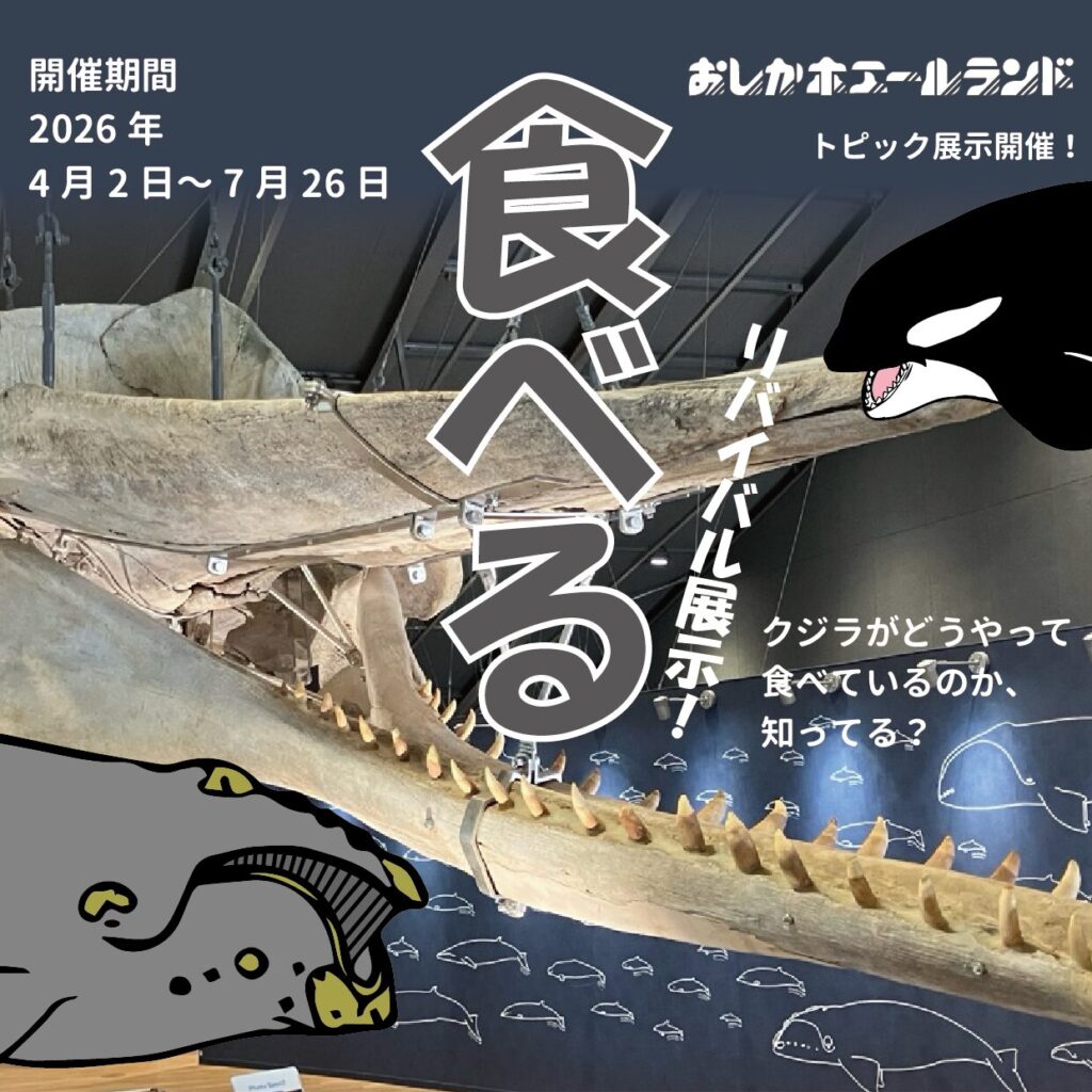 おしかホエールランドトピック展示　「食べる」リバイバル展示！