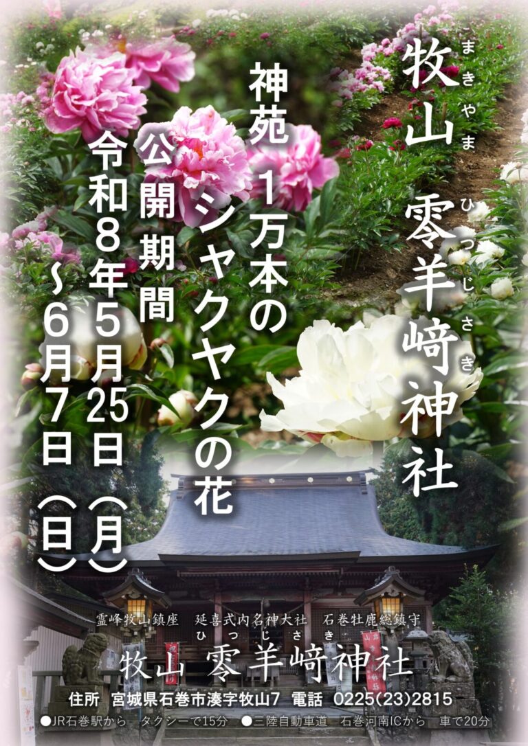 牧山 零羊神社   神苑 シャクヤクの花公開