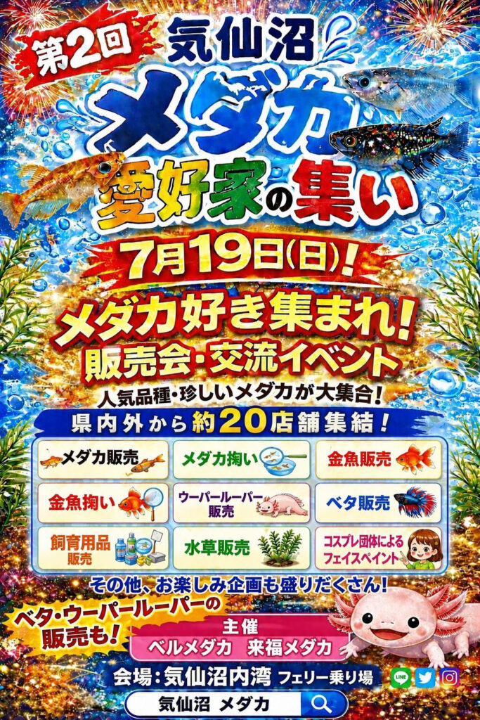 第2回 気仙沼 メダカ愛好家の集い