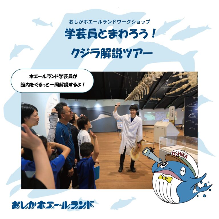 学芸員とまわろう！クジラ解説ツアー